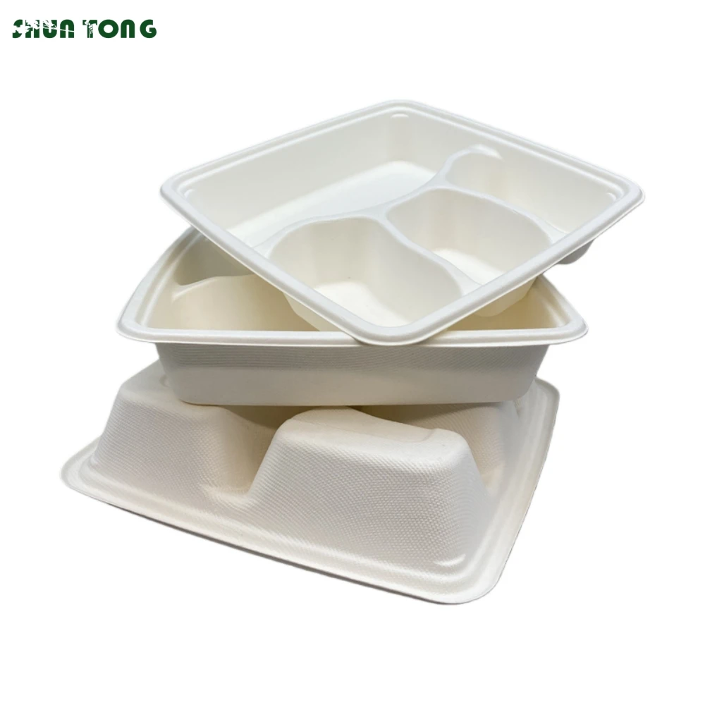 Bagasse Containers