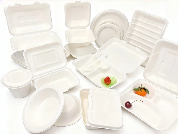 Sugarcane Bagasse Product Supplier Sugarcane Bagasse Product Supplier